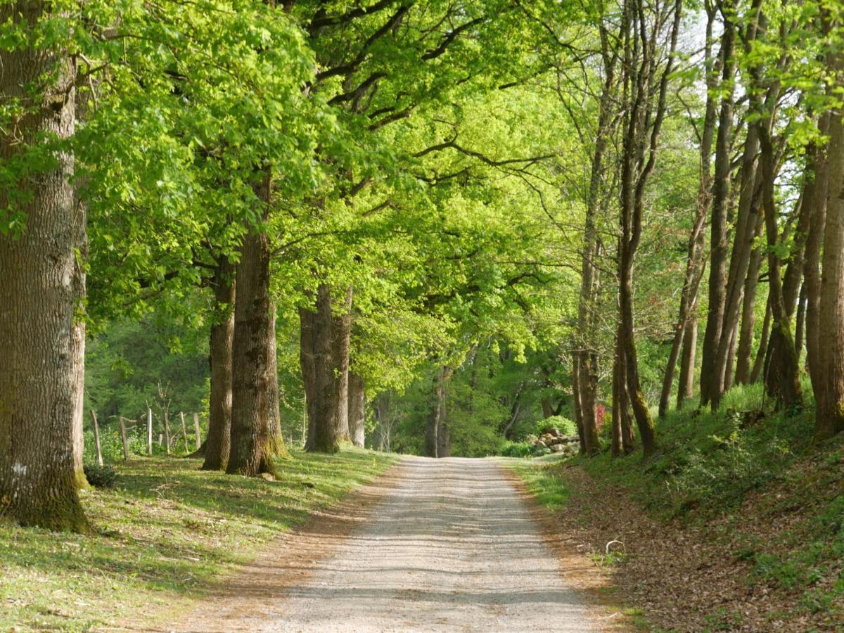 Domaine De Joreau Gennes-Val-de-Loire Bagian luar foto