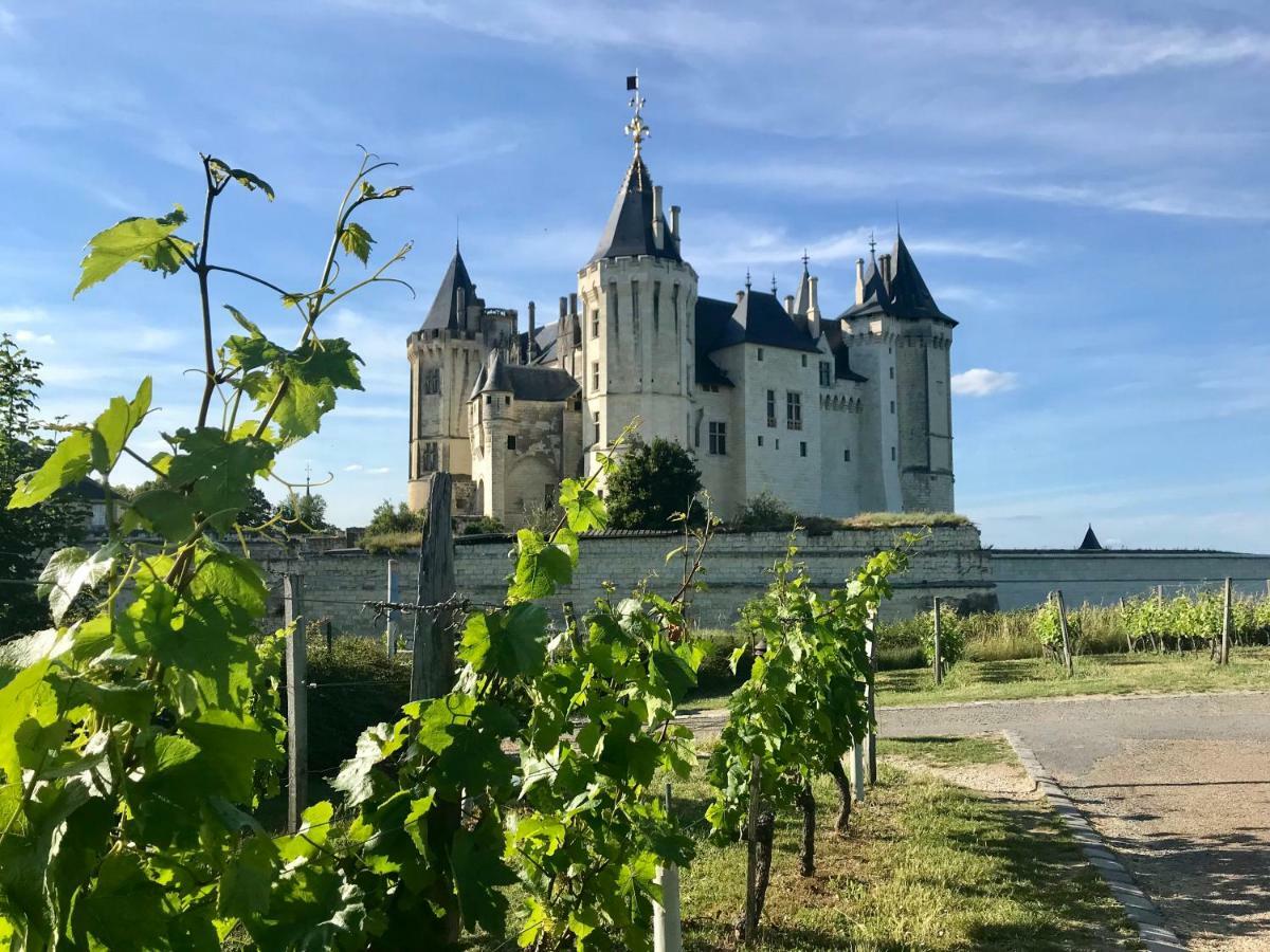 Domaine De Joreau Gennes-Val-de-Loire Bagian luar foto